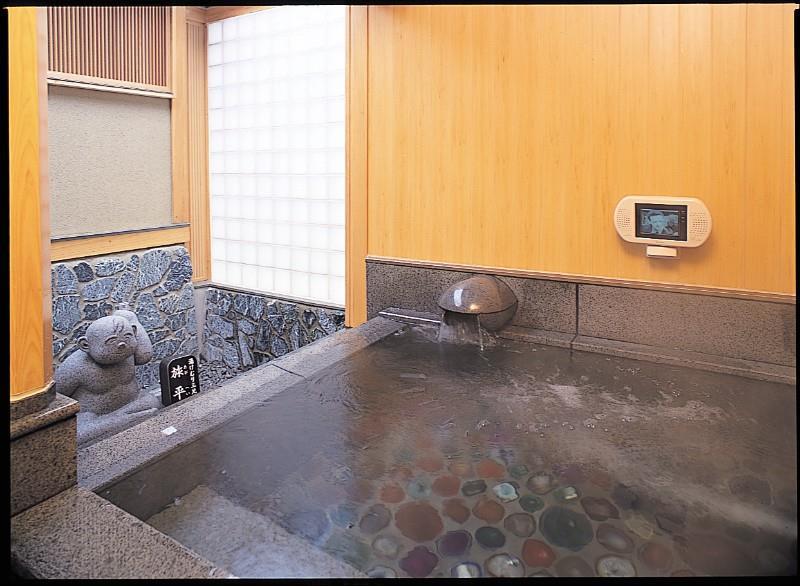 Hotel Seifuuen Shibata  Zařízení fotografie